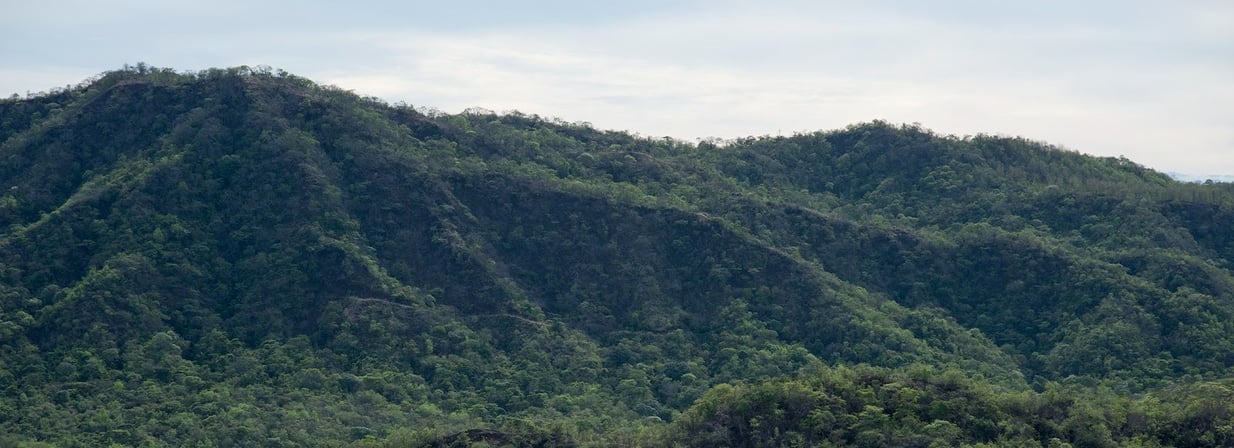 The Hiking and Mountain Biking Trails of Las Catalinas-2-1