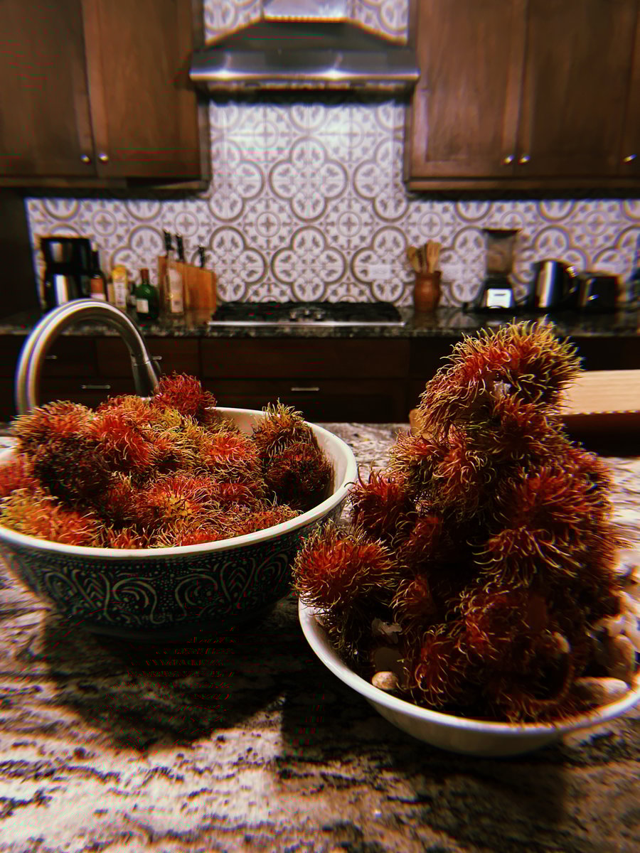 rambutan-in-house